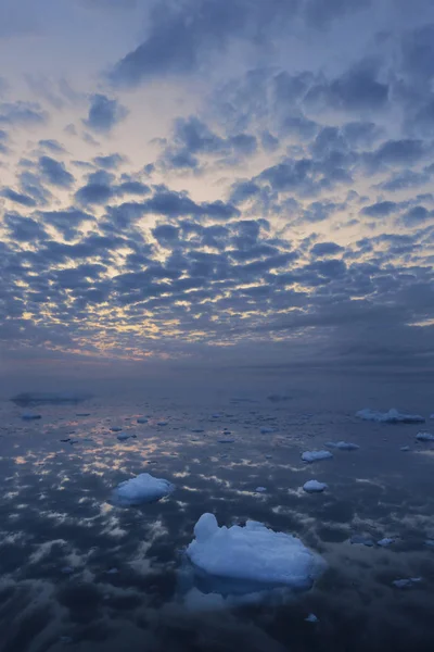 Icebergs of various forms and sizes. — Stock Photo, Image