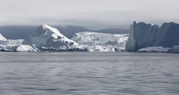 Icebergs of various forms and sizes. — Stock Photo, Image