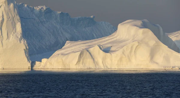 Iceberg di varie forme e dimensioni . — Foto Stock