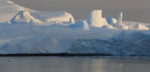 Icebergs de varias formas y tamaños . — Foto de Stock