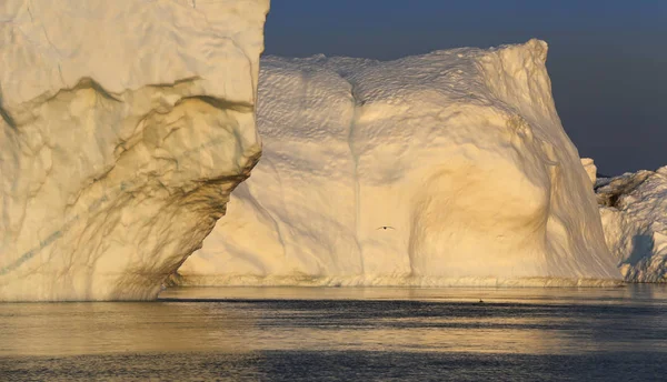 다양 한 형태와 크기의 빙산. — 스톡 사진