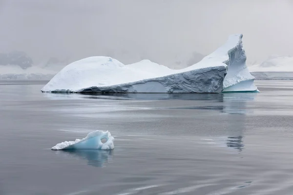 Iceberg di varie forme e dimensioni . — Foto Stock