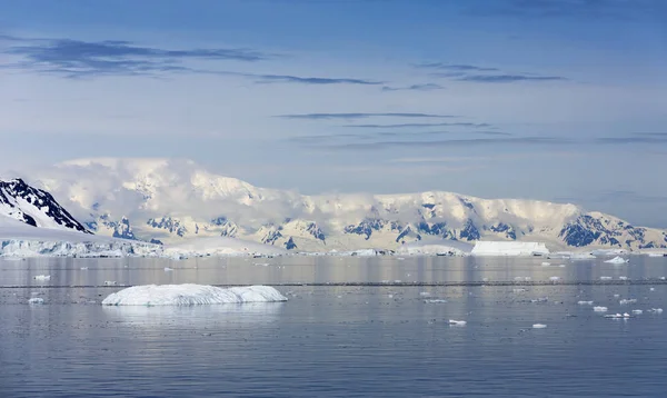 Icebergs de différentes formes et tailles . — Photo