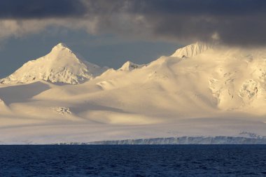 Antarktika kıyısında