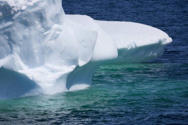 Antarktika kıyısında