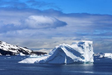 Antarktika kıyısında