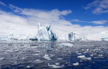 Antarktika kıyısında