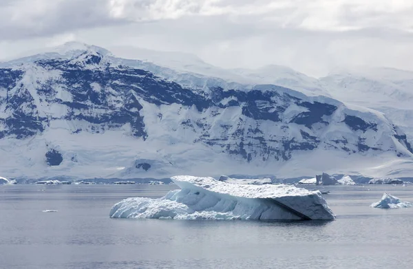 Узбережжя Антарктиди — стокове фото
