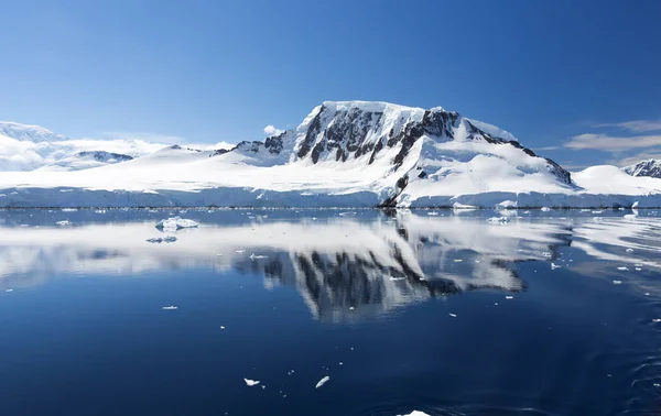 Costa Antártica — Foto de Stock