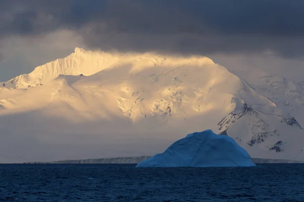 Costa Antártica — Foto de Stock