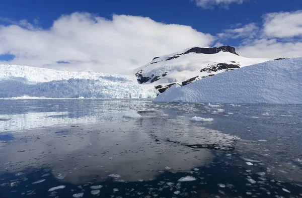 Côte de l'Antarctique — Photo