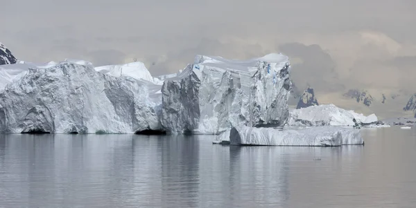 Coast of Antarctica Stock Image