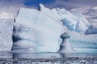 Antarktika kıyısında