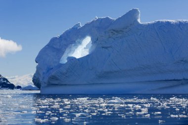 Antarktika kıyısında