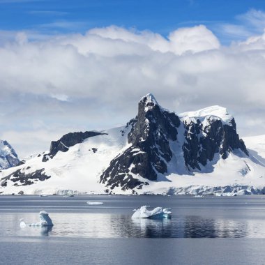 Antarktika kıyısında