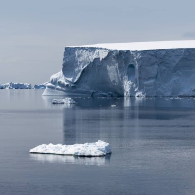 Antarktika kıyısında