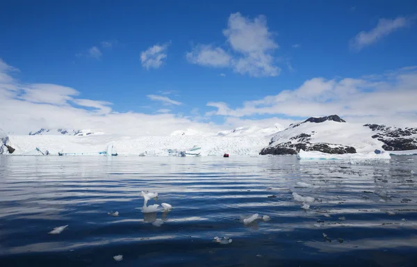 Pobřeží Antarktidy — Stock fotografie