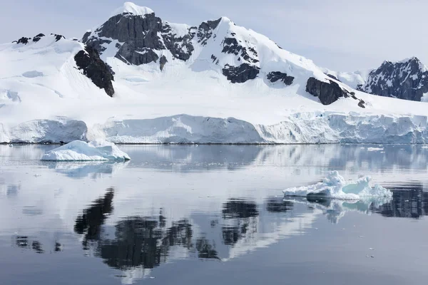 Costa Antártica — Foto de Stock