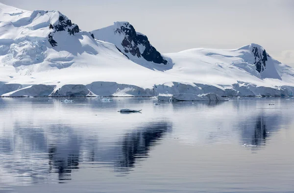 Costa Antártica — Foto de Stock