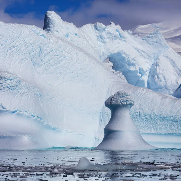 Côte de l'Antarctique — Photo