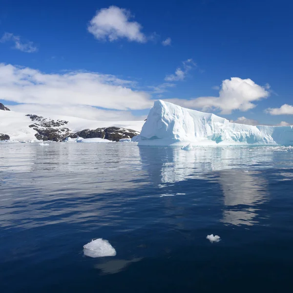 Costa Antártica — Foto de Stock