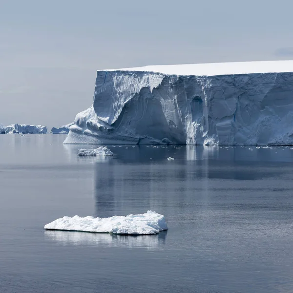 Küste der Antarktis — Stockfoto