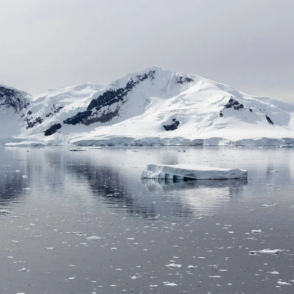 Costa Antártica — Foto de Stock