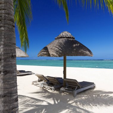 tropik adada dinlenmek