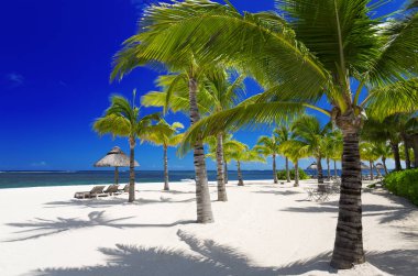 tropik adada dinlenmek