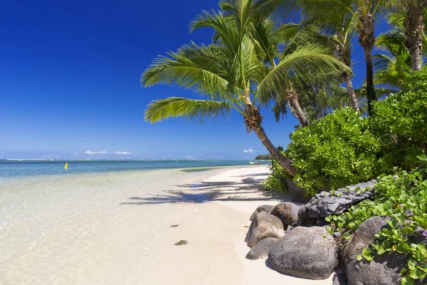 tropik adada dinlenmek