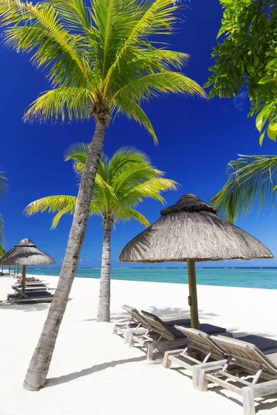 Descanse na ilha tropical — Fotografia de Stock