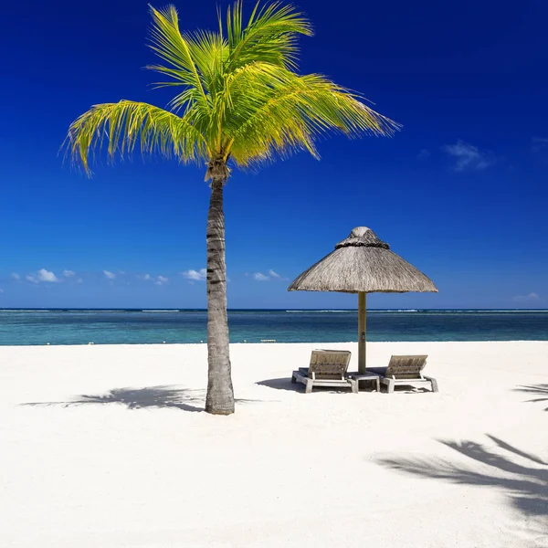 tropik adada dinlenmek