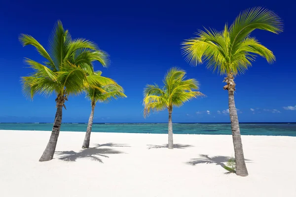 tropik adada dinlenmek