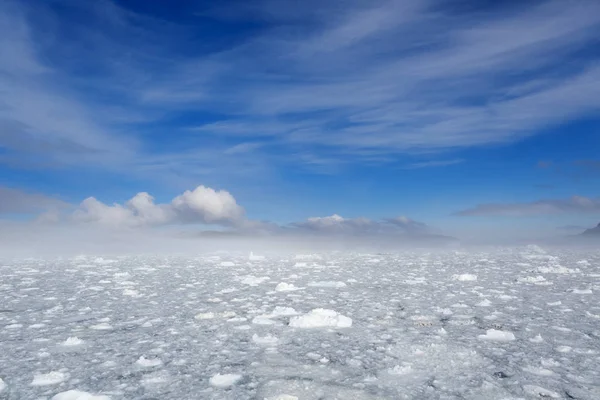 Icebergs em água fria — Fotografia de Stock