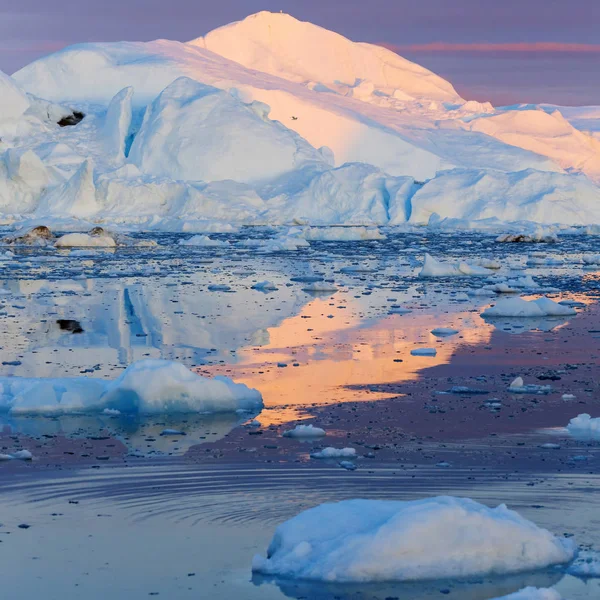 Icebergs en eau froide — Photo