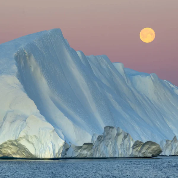 Icebergs en eau froide — Photo