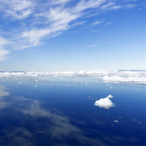 Ijsbergen in koud water — Stockfoto