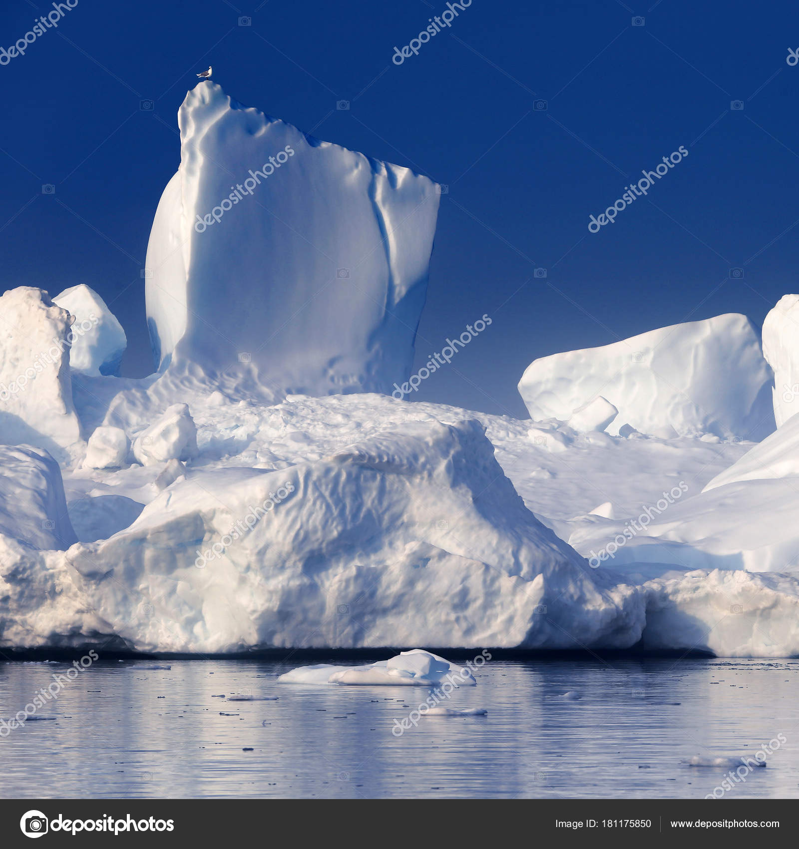 Images of 極地 JapaneseClass.jp