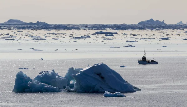 地球の極地 な形や大きさの氷山 気候変動や地球上の平均年次温度の成長 極地の氷と壊滅的な融解の面積の削減 — ストック写真