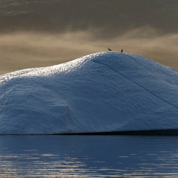 Regiões Polares Terra Icebergs Várias Formas Tamanhos Mudanças Climáticas Crescimento — Fotografia de Stock