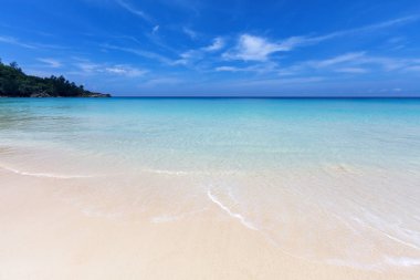 Tropik ada turkuaz lagün. Kuvvetler, dinlenme, su sporları, güneş ve banyo için güzel bir yer. Sıcak su, beyaz kum, meltem. Lüks otel.