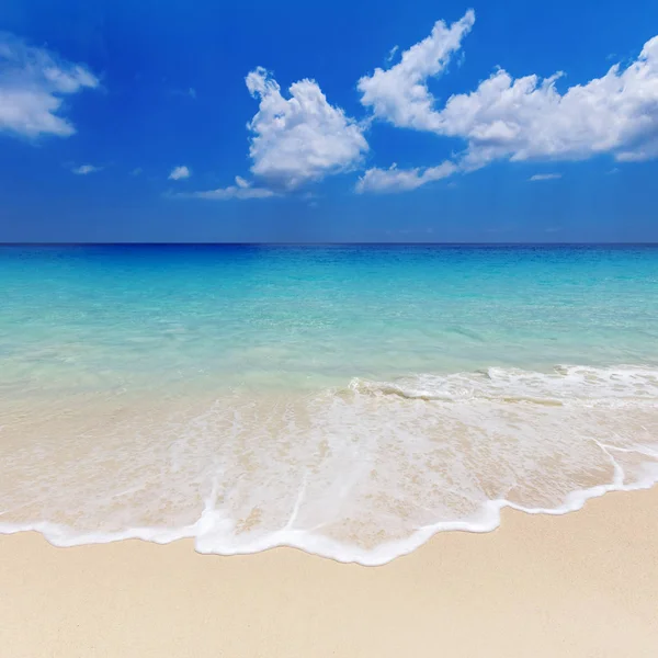 熱帯の島のターコイズ色のラグーン 復元力 日焼け止め 入浴のための美しい場所 暖かい海の水 白い砂 高級ホテル — ストック写真