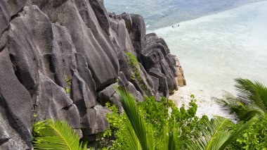 Gezegenin tropik bölgeleri. Seyshell 'ler. İHA 'dan ateş ediliyor. Okyanusun saf turkuaz suları. Beyaz mercan kumu ve mavi gölcükler.