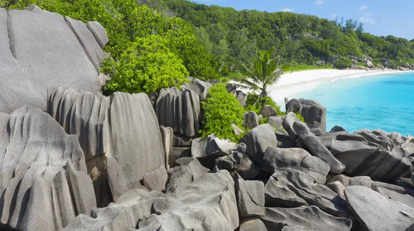 Тропічні Острови Пляжі Сейшельські Острови Стріляють Дрона Чиста Бірюзова Вода — стокове фото