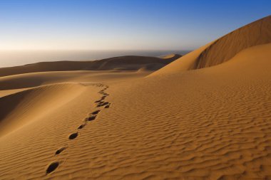 Çöl. Yoğun altın tozu, kum tepeleri ve alçak güneşin ışığında kumlu güzel yapılar..