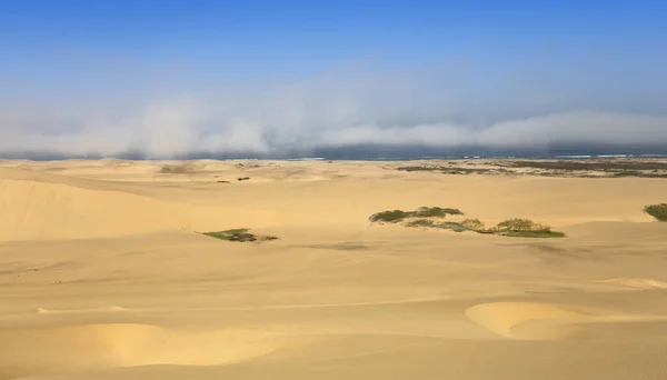 夕阳西下浓密的金尘 沙丘和美丽的砂质结构 — 图库照片