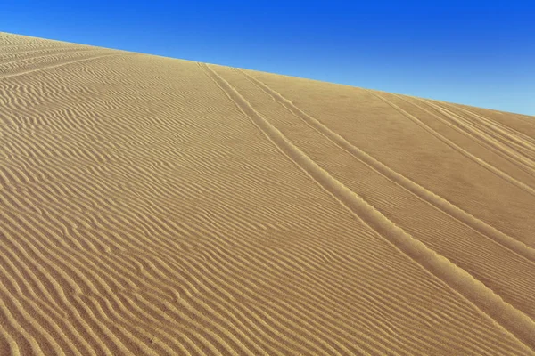 Desert Dense Gold Dust Dunes Beautiful Sandy Structures Light Low — Stock Photo, Image