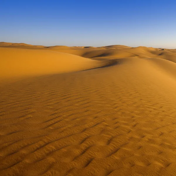 夕阳西下浓密的金尘 沙丘和美丽的砂质结构 — 图库照片