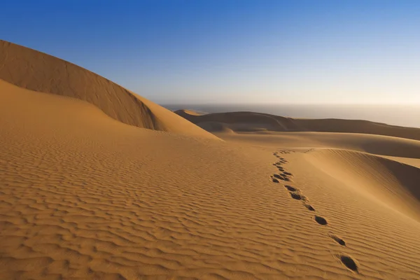 Deserto Dense Polvere Oro Dune Belle Strutture Sabbiose Alla Luce — Foto Stock