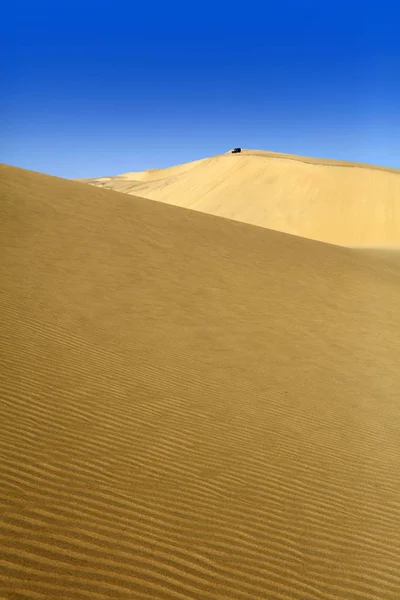 Desert Dense Gold Dust Dunes Beautiful Sandy Structures Light Low 로열티 프리 스톡 사진